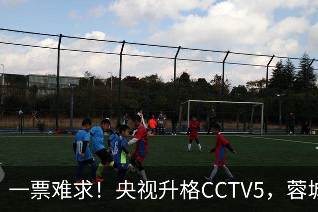 一票难求！央视升格CCTV5，蓉城打平即夺冠，韦世豪4场停赛告别赛季